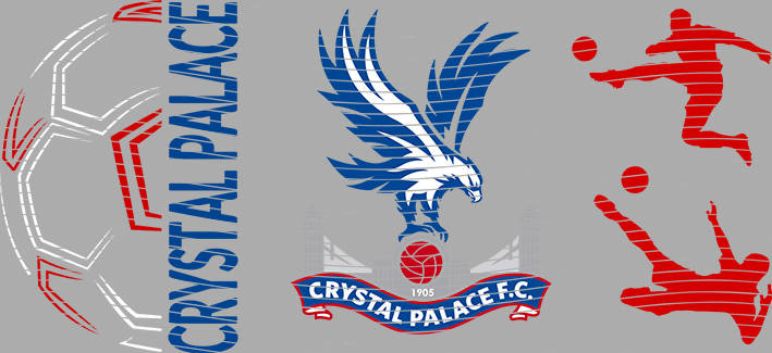 16oz World Cup-WO  335